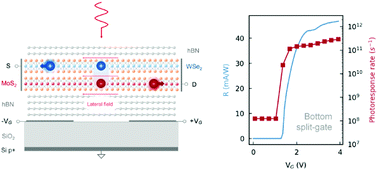 Graphical abstract: An ultrafast photodetector driven by interlayer exciton dissociation in a van der Waals heterostructure