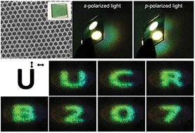 Graphical abstract: Insect-inspired nanofibrous polyaniline multi-scale films for hybrid polarimetric imaging with scattered light