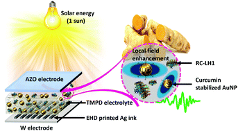 Graphical abstract: Plasmonic protein electricity generator