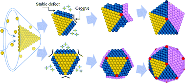 Graphical abstract: Growth mechanisms from tetrahedral seeds to multiply twinned Au nanoparticles revealed by atomistic simulations