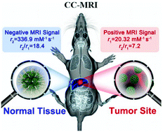 Graphical abstract: A tumor microenvironment dual responsive contrast agent for contrary contrast-magnetic resonance imaging and specific chemotherapy of tumors