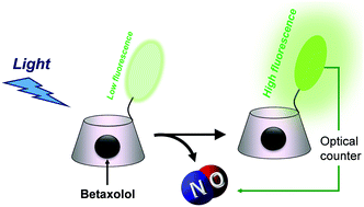 Graphical abstract: Visible light-activatable cyclodextrin-conjugates for the efficient delivery of nitric oxide with fluorescent reporter and their inclusion complexes with betaxolol