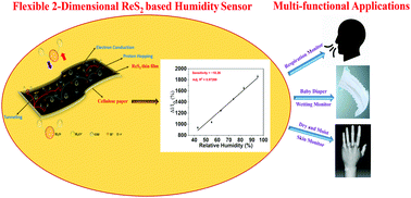 Graphical abstract: A highly electropositive ReS2 based ultra-sensitive flexible humidity sensor for multifunctional applications
