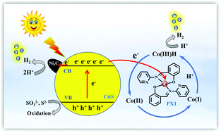 Graphical abstract: Integration of an aminopyridine derived cobalt based homogenous cocatalyst with a composite photocatalyst to promote H2 evolution from water