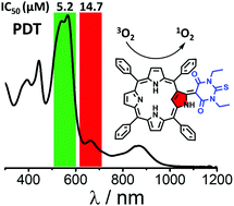 Graphical abstract: A heavy-atom-free π-extended N-confused porphyrin as a photosensitizer for photodynamic therapy