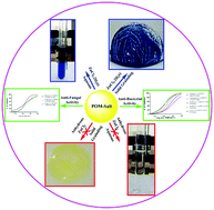 Graphical abstract: Polyoxometalate based ionic crystal: dual applications in selective colorimetric sensor for hydrated ZnCl2 and antimicrobial activity