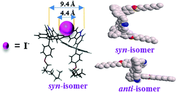Graphical abstract: Iodide ion receptors: shape-persistent macrocycles of syn/anti configurations