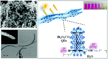 Graphical abstract: Bi2O2CO3/TiO2 hybrid with 0D/1D nanostructure: design, synthesis and photocatalytic performance