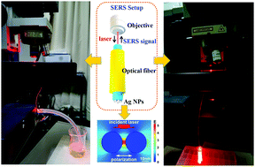 Graphical abstract: Controlling silver morphology on a cramped optical fiber facet via a PVP-assisted silver mirror reaction for SERS fiber probe fabrication