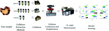 Graphical abstract: Exploring different methods of cellulose extraction for 14C dating