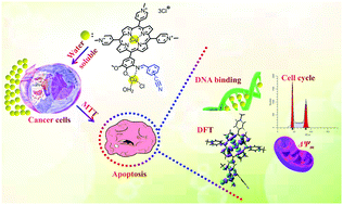 Graphical abstract: Nitrile-containing copper(ii) porphyrin coordination complexes for efficient anticancer activity and mechanism research
