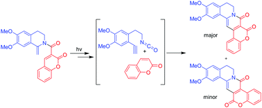 Graphical abstract: Photocyclization of coumarinoyl enamides revisited: [2+2+2] cycloreversion/cycloaddition mechanism