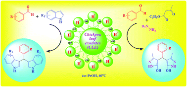 Graphical abstract: Chickpea leaf exudates: a green Brønsted acid type biosurfactant for bis(indole)methane and bis(pyrazolyl)methane synthesis