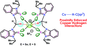 Graphical abstract: Rare proximity enforced copper hydrogen interactions in copper(i)-chalcogenones