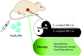 Graphical abstract: Engineered Fe3O4-based nanomaterials for diagnosis and therapy of cancer