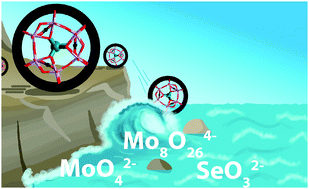 Graphical abstract: Tubular polyoxoanion [(SeMo6O21)2(C2O4)3]10− and its transformations