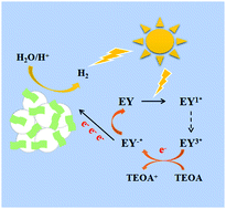Graphical abstract: A Z-scheme heterostructure constructed from ZnS nanospheres and Ni(OH)2 nanosheets to enhance the photocatalytic hydrogen evolution