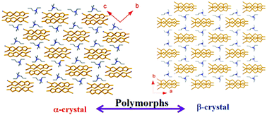 Graphical abstract: Magnetism, dielectrics and ion conduction in two polymorphs of a heteroleptic bis(dithiolato)nickelate molecular solid