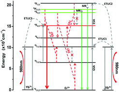 Graphical abstract: Insight into the mechanism of intense NIR-to-red upconversion luminescence in Er3+ doped and Er3+–Yb3+ co-doped SrF2 nanoparticles