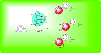 Graphical abstract: Pd-N-heterocyclic carbene complex catalysed C–H bond activation of 2-isobutylthiazole at the C5 position with aryl bromides