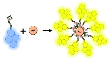 Graphical abstract: The nucleobase assisted pyrene functionalization of gold nanoparticles