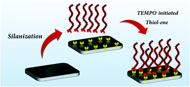 Graphical abstract: TEMPO driven thiol–ene reaction for the preparation of polymer functionalized silicon wafers