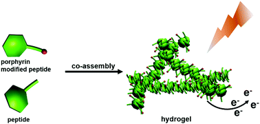 Graphical abstract: Photoelectric conversion based on peptide–porphyrin conjugates assembled hydrogel