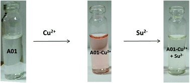 Graphical abstract: A naked-eye colorimetric sensor based on chalcone for the sequential recognition of copper(ii) and sulfide ions in semi-aqueous solution: spectroscopic and theoretical approaches