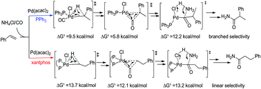 Graphical abstract: Mechanistic insights into the palladium-catalyzed hydroaminocarbonylation of alkenes