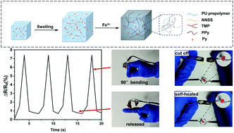 Graphical abstract: Polypyrrole/PU hybrid hydrogels: electrically conductive and fast self-healing for potential applications in body-monitor sensors