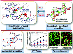 Graphical abstract: Supramolecular assemblies involving biologically relevant antiparallel π-stacking and unconventional solvent driven structural topology in maleato and fumarato bridged Zn(ii) coordination polymers: antiproliferative evaluation and theoretical studies