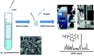 Graphical abstract: Fabrication of an AAO-based surface-enhanced Raman scattering substrate for the identification of levofloxacin in milk