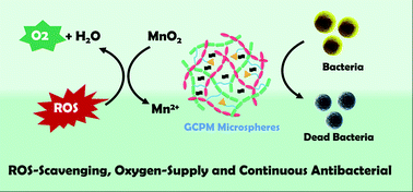 Graphical abstract: Multifunction gelatin/chitosan composite microspheres with ROS-scavenging and antibacterial activities for improving the microenvironment of chronic wounds