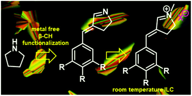 Graphical abstract: Metal-free C–H functionalization of pyrrolidine to pyrrolinium-based room temperature ionic liquid crystals
