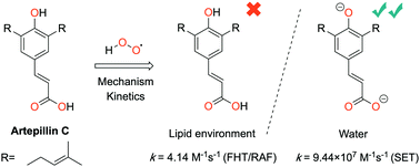 Graphical abstract: Insights into the mechanisms and kinetics of the hydroperoxyl radical scavenging activity of Artepillin C