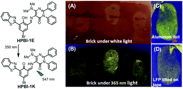 Graphical abstract: Fluorescence imaging of surface-versatile latent fingerprints at the second and third level using double ESIPT-based AIE fluorophore