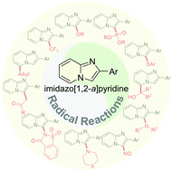Graphical abstract: Functionalization of imidazo[1,2-a]pyridines via radical reactions