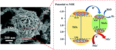 Graphical abstract: Preparation of a highly active MoS2/TiO2 composite for photocatalytic oxidation of nitrite under solar irradiation
