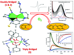 Graphical abstract: A novel triple aqua-, phenoxo- and carboxylato-bridged dinickel(ii) complex, its magnetic properties, and comparative biomimetic catalytic studies with analogous dinickel(ii) complexes