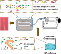 Graphical abstract: Preparation of high-strength and high-toughness sodium alginate fibers based on the study of multi-ion diffusion kinetics in a low temperature dissolution system