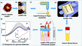Graphical abstract: Inkjet-printed paper-based electrochemical sensor with gold nano-ink for detection of glucose in blood serum