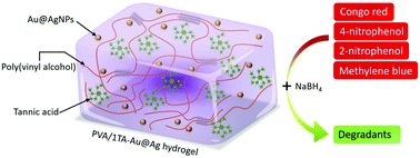 Graphical abstract: Green fabrication of hydrogel-immobilized Au@Ag nanoparticles using tannic acid and their application in catalysis