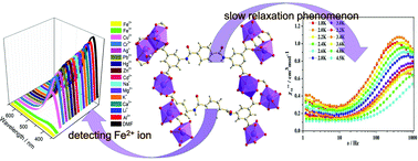 Graphical abstract: Lanthanide-based bis-(3,5-dicarboxy-phenyl)terephthalamide metal–organic frameworks: slow relaxation of magnetization and detection of trace Fe2+ and Fe3+
