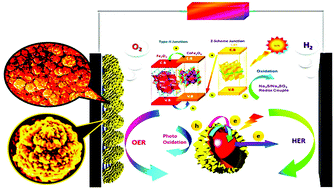 Graphical abstract: Solvothermal phase change induced morphology transformation in CdS/CoFe2O4@Fe2O3 hierarchical nanosphere arrays as ternary heterojunction photoanodes for solar water splitting