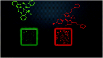 Graphical abstract: Dual color triads: synthesis, photophysics and applications in live cell imaging