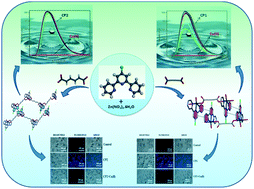 Graphical abstract: Ultra-trace level detection of Cu2+ in an aqueous medium by novel Zn(ii)-dicarboxylato–pyridyl coordination polymers and cell imaging with HepG2 cells