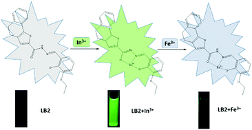 Graphical abstract: A Schiff base sensor for relay monitoring of In3+ and Fe3+ through “off–on–off” fluorescent signals