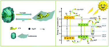 Graphical abstract: Azobenzene-modified Ag/Ag2O/CN photocatalysts with photoresponsive performance for controllable photodegradation of tetracyclines