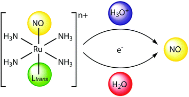 Graphical abstract: The π-donor/acceptor trans effect on NO release in ruthenium nitrosyl complexes: a computational insight