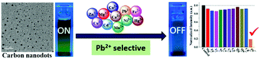 Graphical abstract: Environmentally benign synthesis of fluorescent carbon nanodots using waste PET bottles: highly selective and sensitive detection of Pb2+ ions in aqueous medium